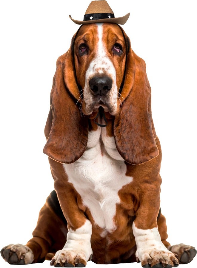 روبيز قبعة روبيز كاوبوي للحيوانات الأليفة، للكلاب أو القطط، مقاس صغير/متوسط - Image 2